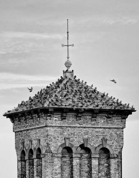Pigeon Tower, Leith. Photo by and copyright of Lynn Henni.